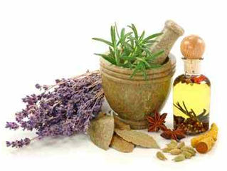 Essential Oil 101: The Basics