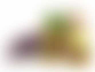 Essential Oil 101: The Basics