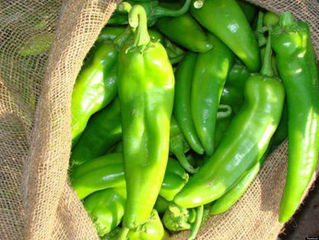 16 Secrets to Spice up Your Health