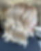 Screenshot 2023-05-02 193536.jpg