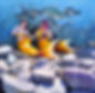 20 Fini- Watermark.jpg