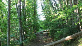 How Erosion and Deforestation Impacts Watauga County
