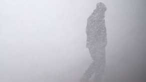 "Cold and Quiet" by Delilah Wurth