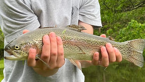 "Hooked on the High County: A Look at Fishing in Boone"-an audiostory