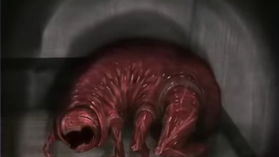 “Vita Carnis”: Documenting Meaty Monstrosities