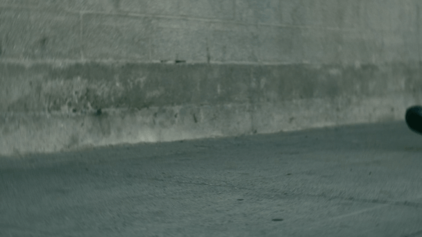 WolfandShepherd GIF.gif