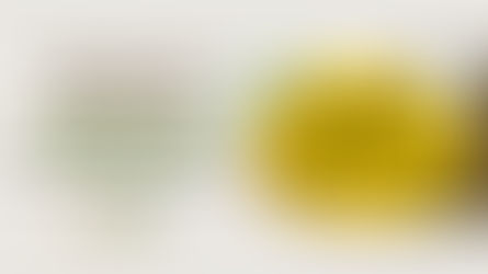 คลิกสมัครก่อนเต็มที่นี่ "ค่ายหลังกำแพง" ค่ายนักเรียน 2024