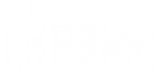 Logos Piller Atualizadas_edited.png