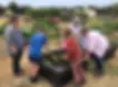 Kids planting in the food cubes