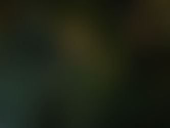 Free Christmas tree recycling - turning waste into mulch