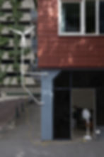 Super Green 2: Green Breeze