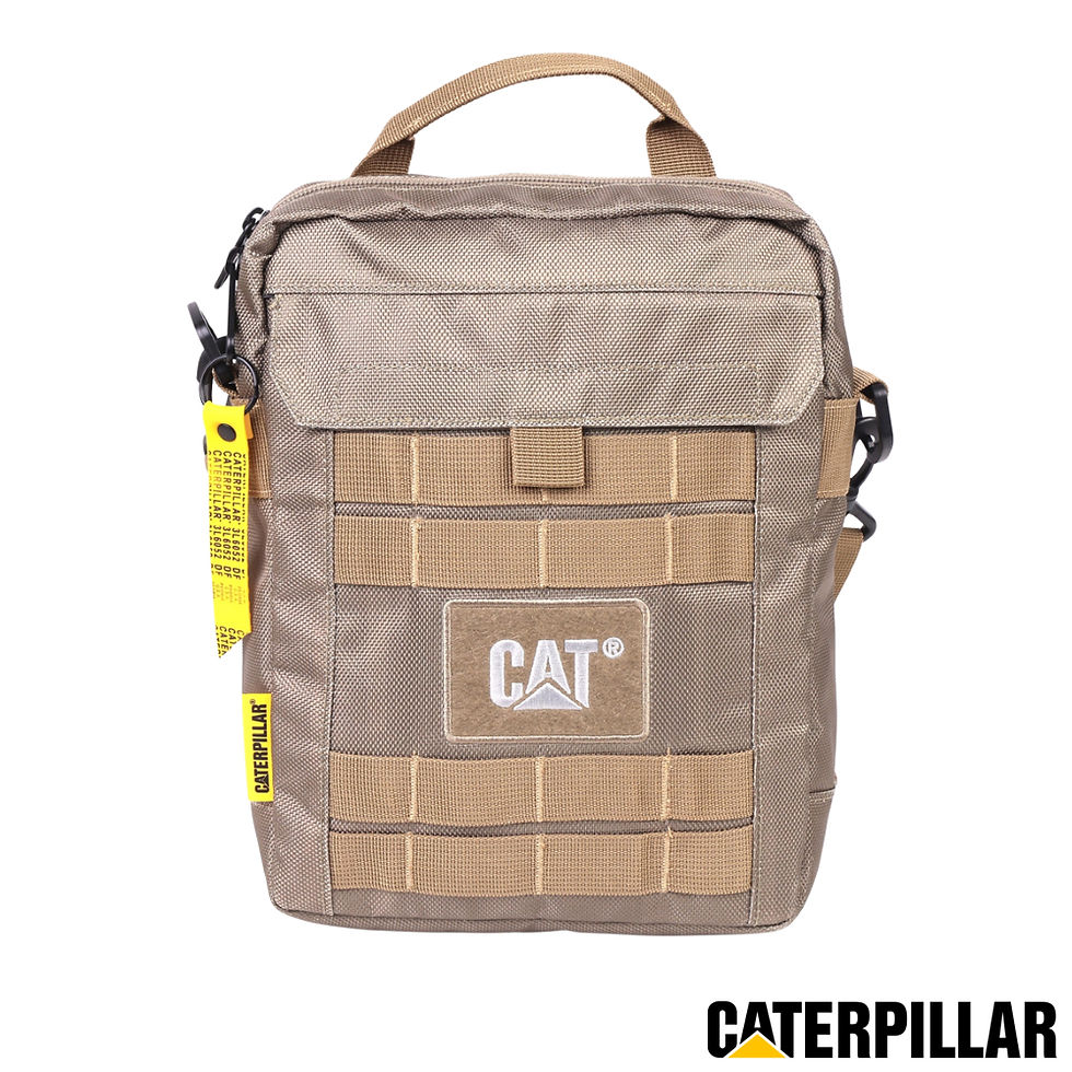 Thumbnail: Caterpillar Namib