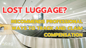 Lost Luggage