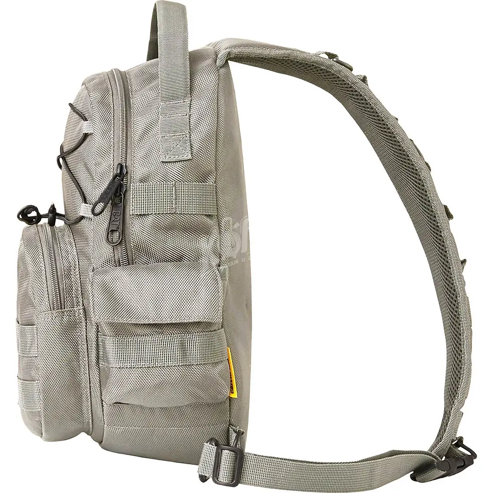 ภาพขนาดย่อ: Caterpillar Tabernas Sling Bag