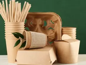 Sugarcane bagasse based packaging