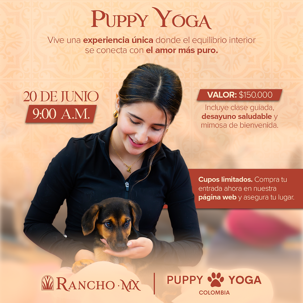 Puppy Yoga 2.0