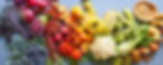 VEGETABLE