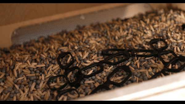 thumbling acetate sunglasses and optical frames