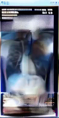 HEART OF MARY