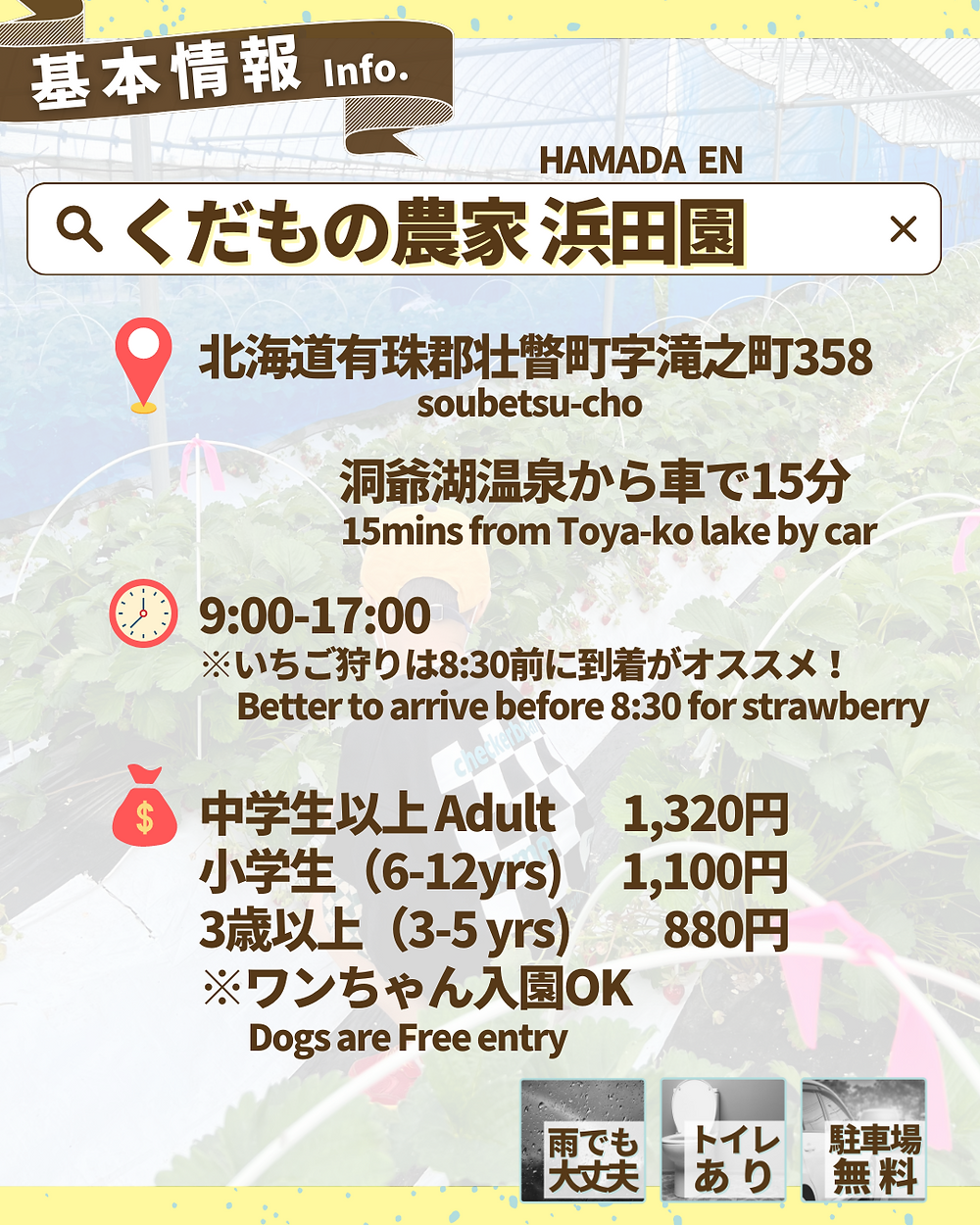 いちご狩り 洞爺湖 北海道 6月中旬 いちご狩り 洞爺湖 北海道 6月中旬