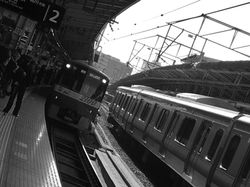 IMG_9864