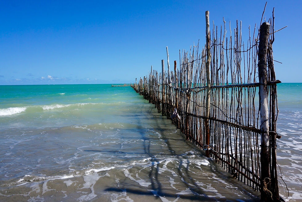 Maceio / Maio 24
