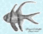 Marianas Deep (Fish)