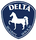 Delta Security Services LLC