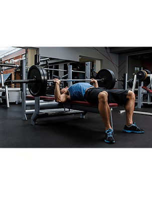 personaltraining wien