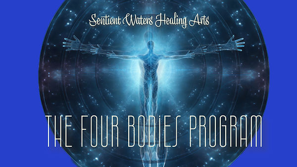 The Four Bodies Program