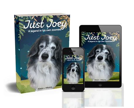 just joey book cover