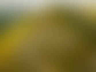 winding path up green mountain