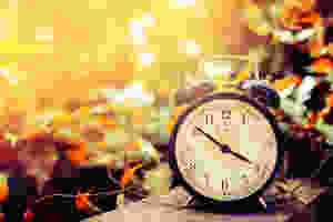Circadian Rhythm and light