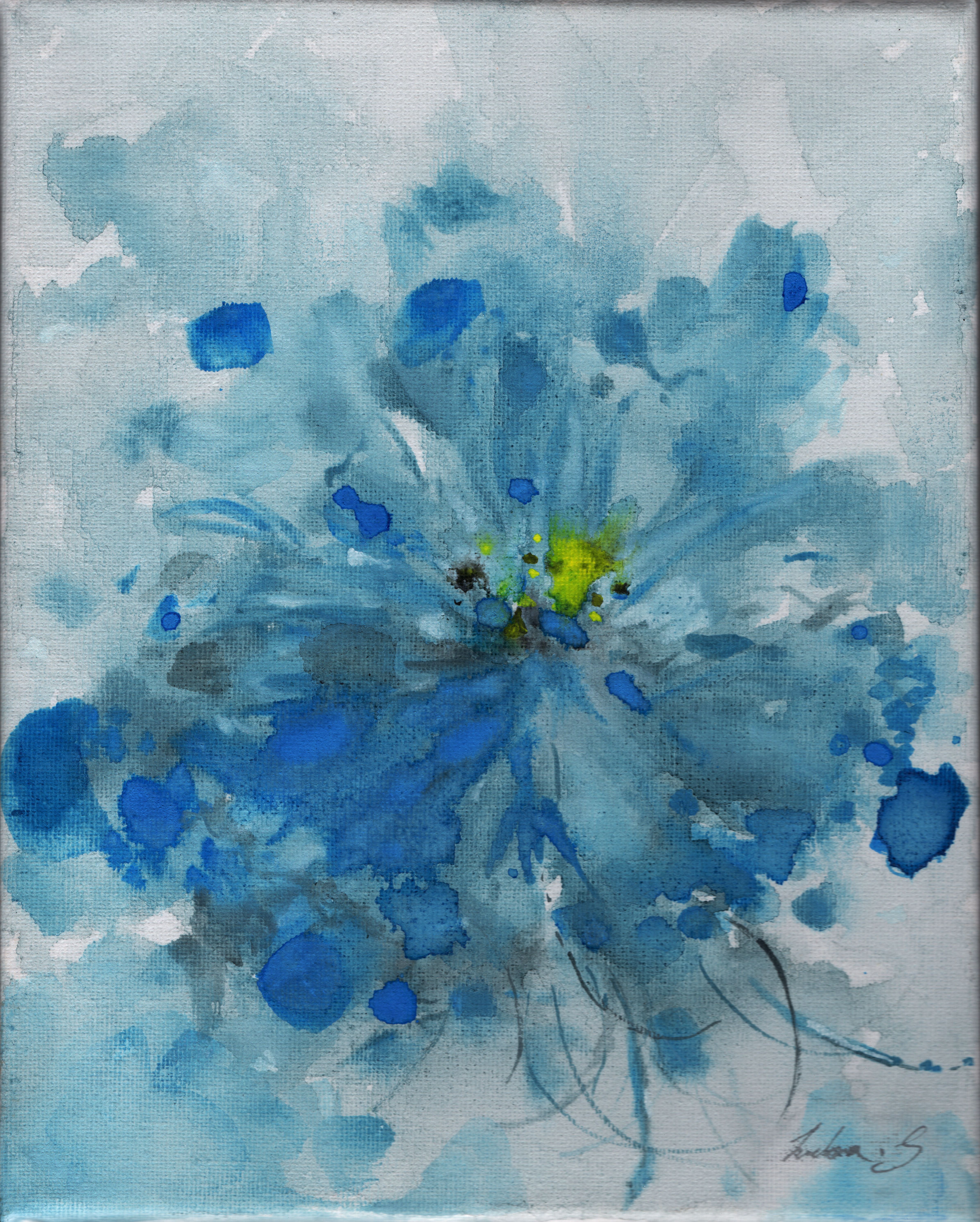 Blue Himalayan Poppy