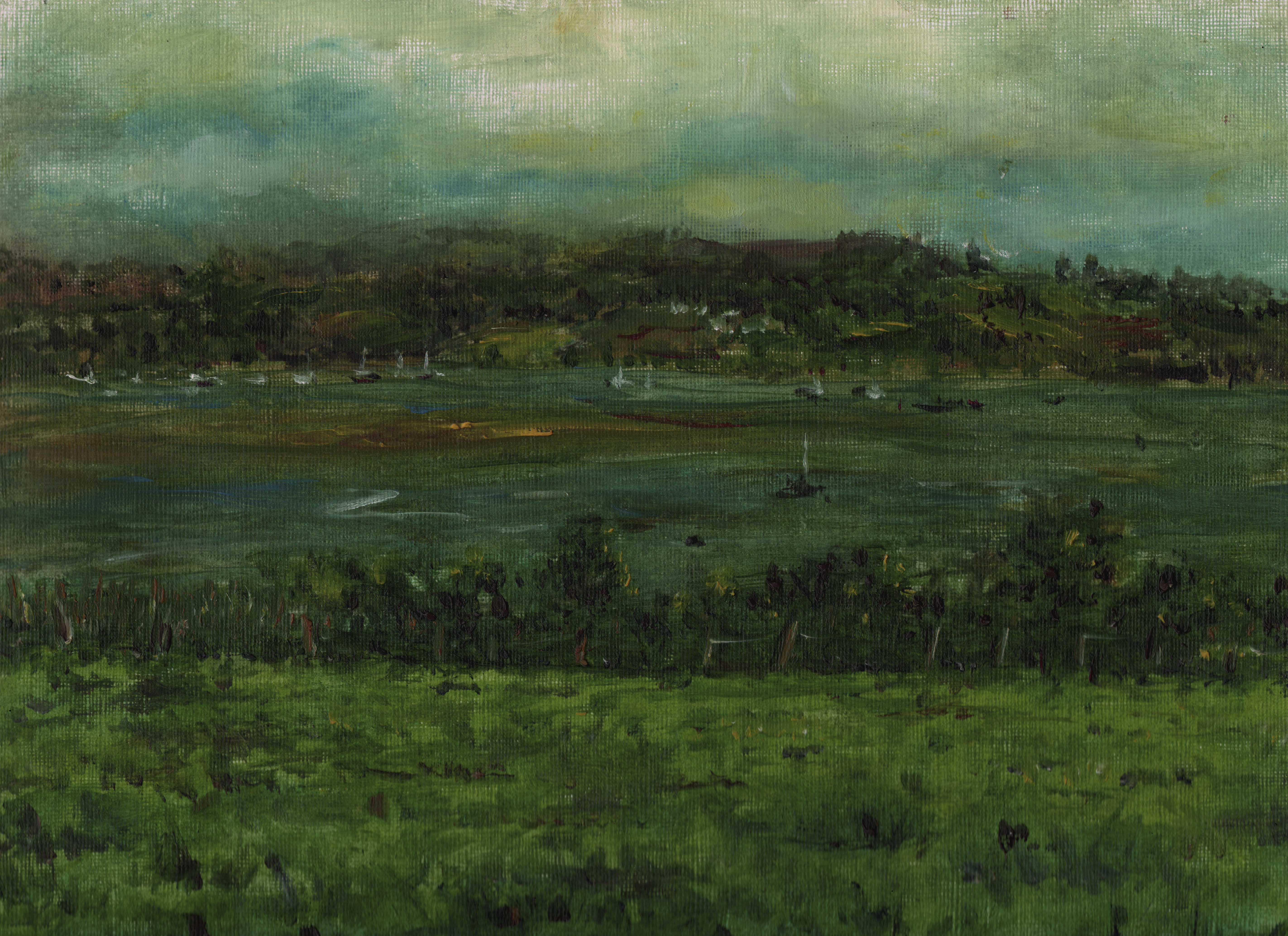 Devon Estuary