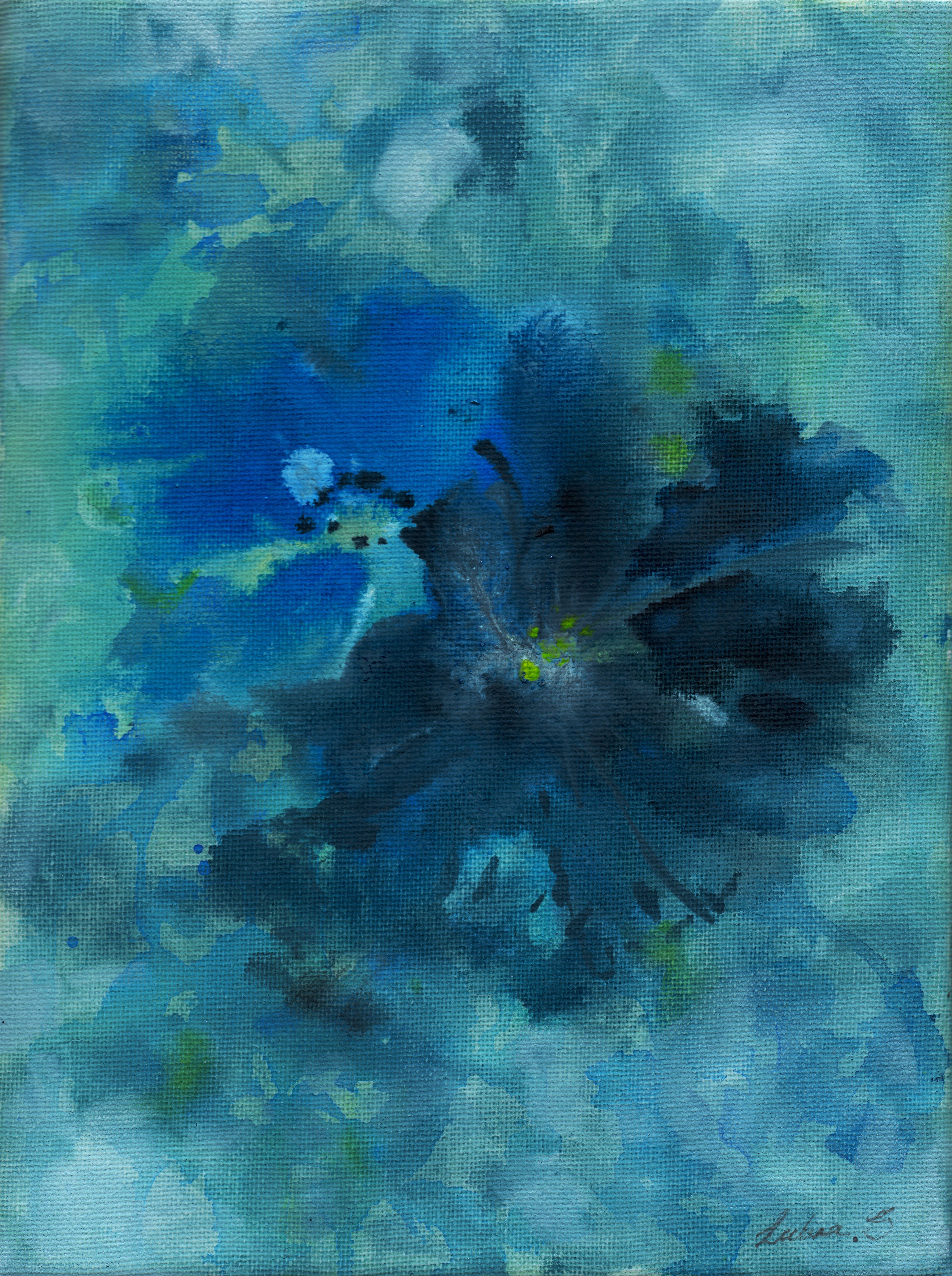 Blue Anemone