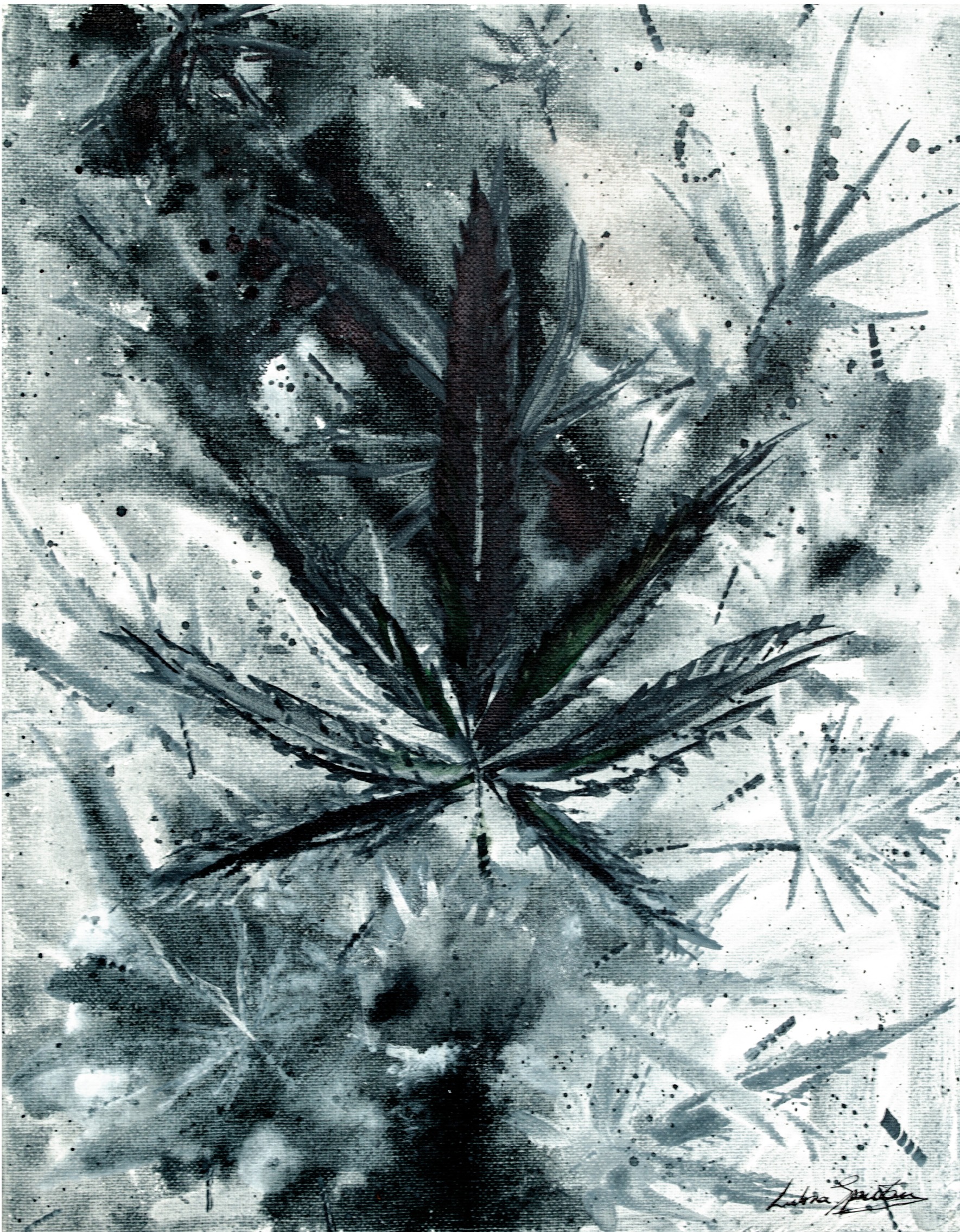 Sweet Sativa