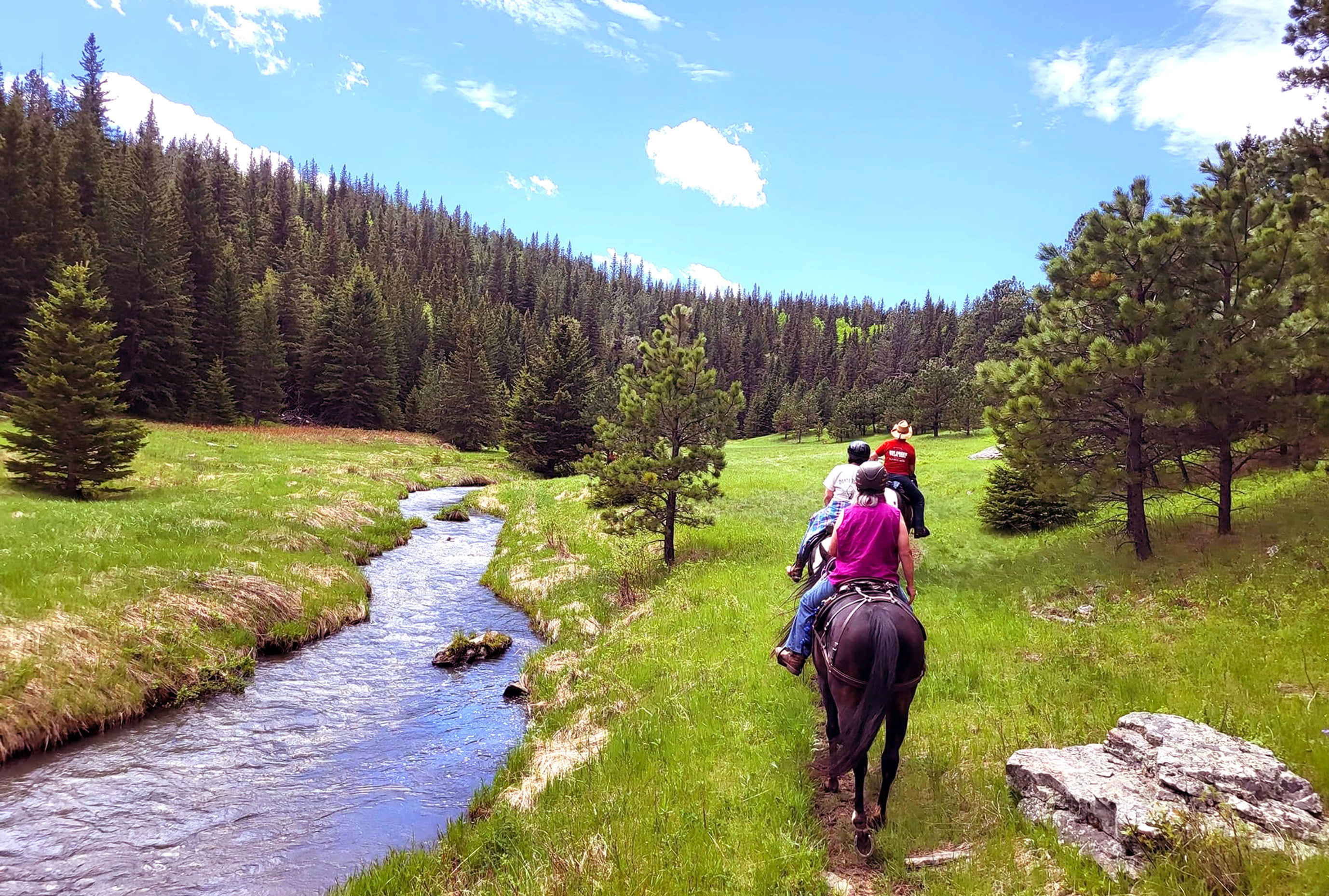bear creek horse camp ky