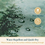 Thumbnail: Shower Curtain - Misty Forest