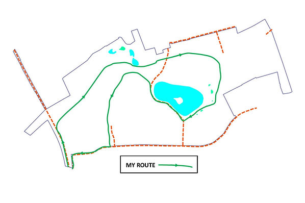 Walking route in park