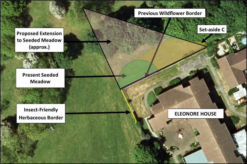 Plan to extend planted meadow in Eastfield Park in 2020