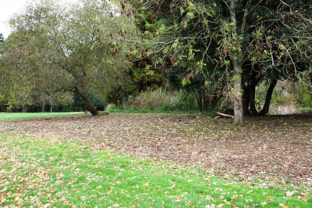 NBC 'Day of Action' at Eastfield Park