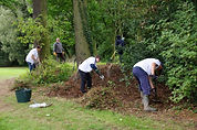 Team of Lloyds Managers starting a new garden