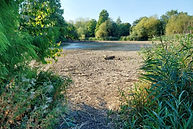 20220813_180505 cropcomp.jpg