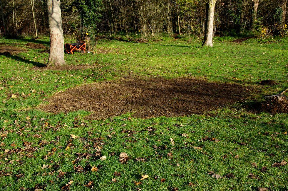 Part of Eastfield Park meadow extension prepared for seeding