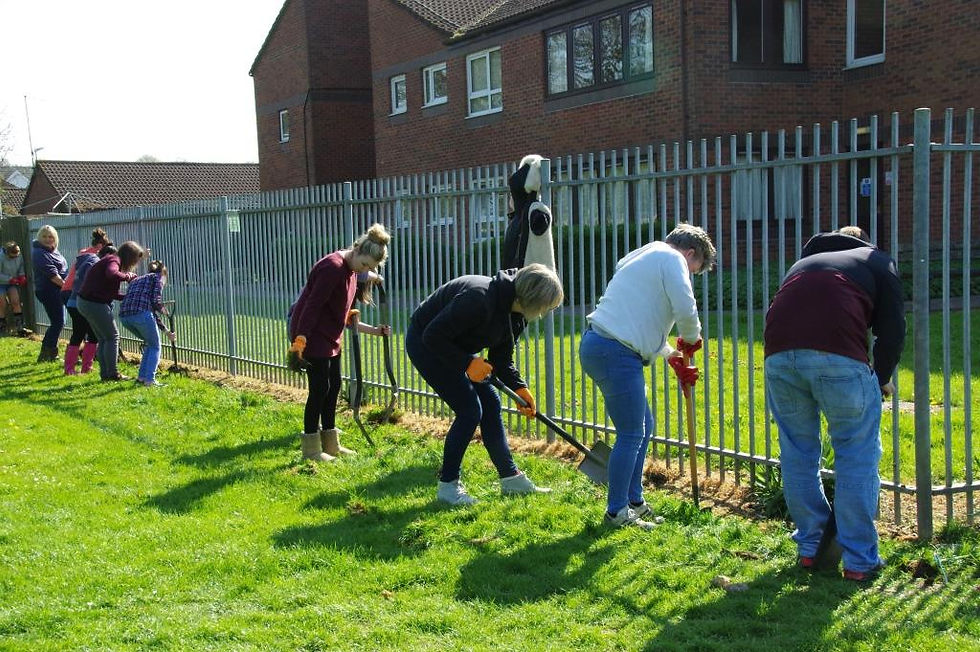 The volunteers from Thomson Holidays start work on the Wildflower Border - April 2015
