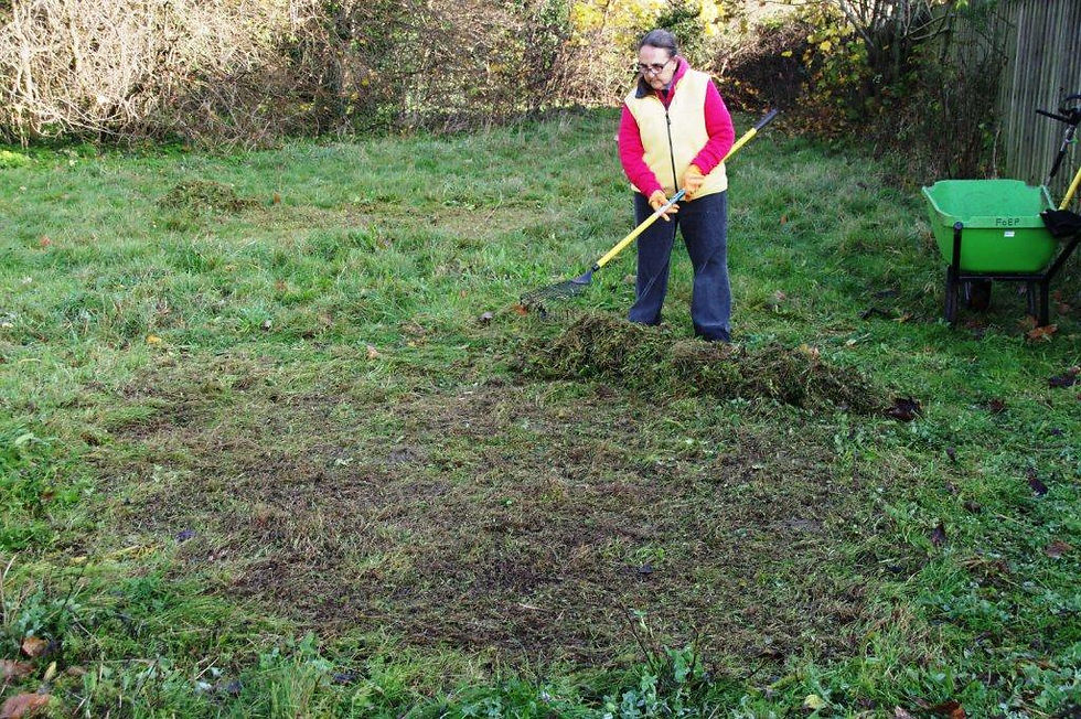 Eastfield Park: Areas prepared for seeding in orignal 'seeded meadow' and neighbouring set-aside, Nov. 2020