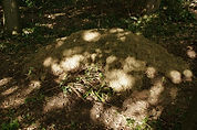 Hibernaculum created by Volunteers from Nationwide Building Society