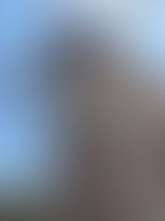 Terence DEN HOED, Fontvieille FR 13, Moulin d'Alphonse Daudet, 03/07/2020