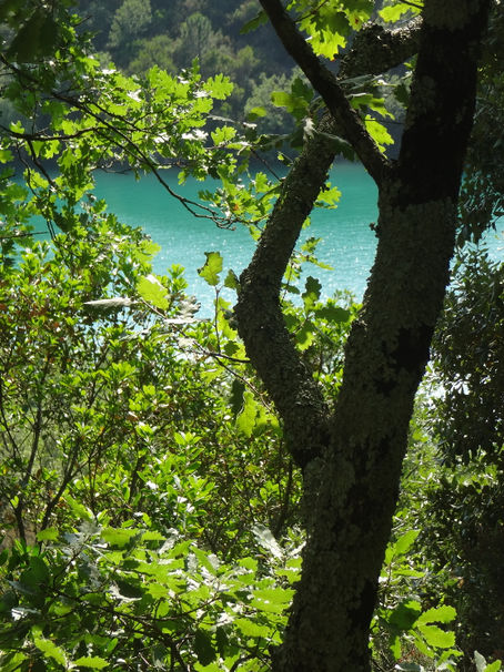 Terence DEN HOED, Tanneron FR 83, Lac de Saint-Cassien, 06/07/2019